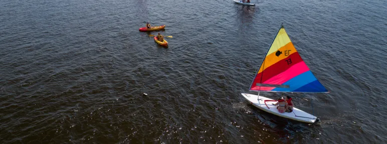 Sailboats headed out to sea