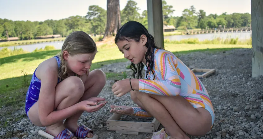 Two girls searching for fossils in the fossil area